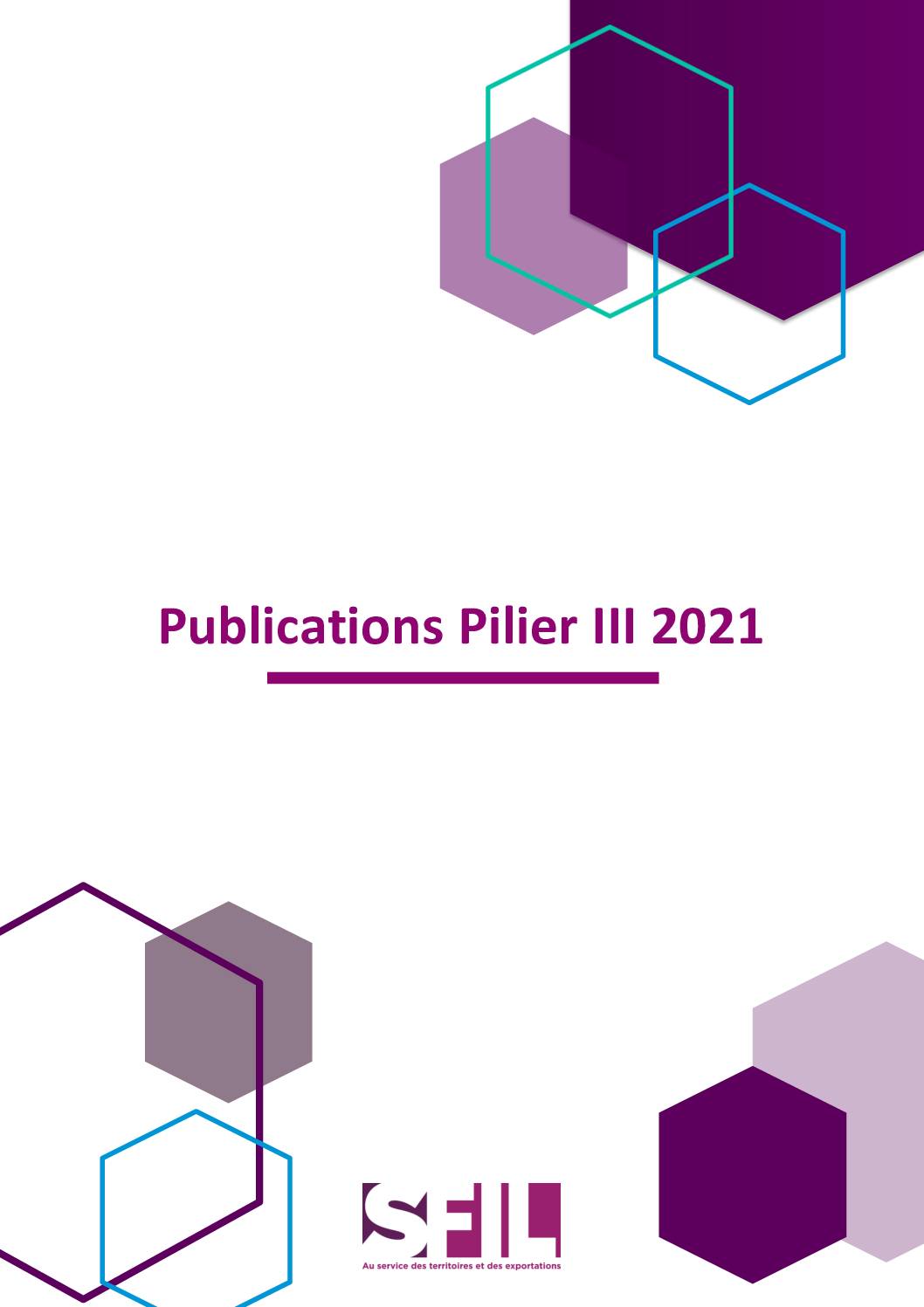 Publication du Rapport Sfil Pilier III 2021
