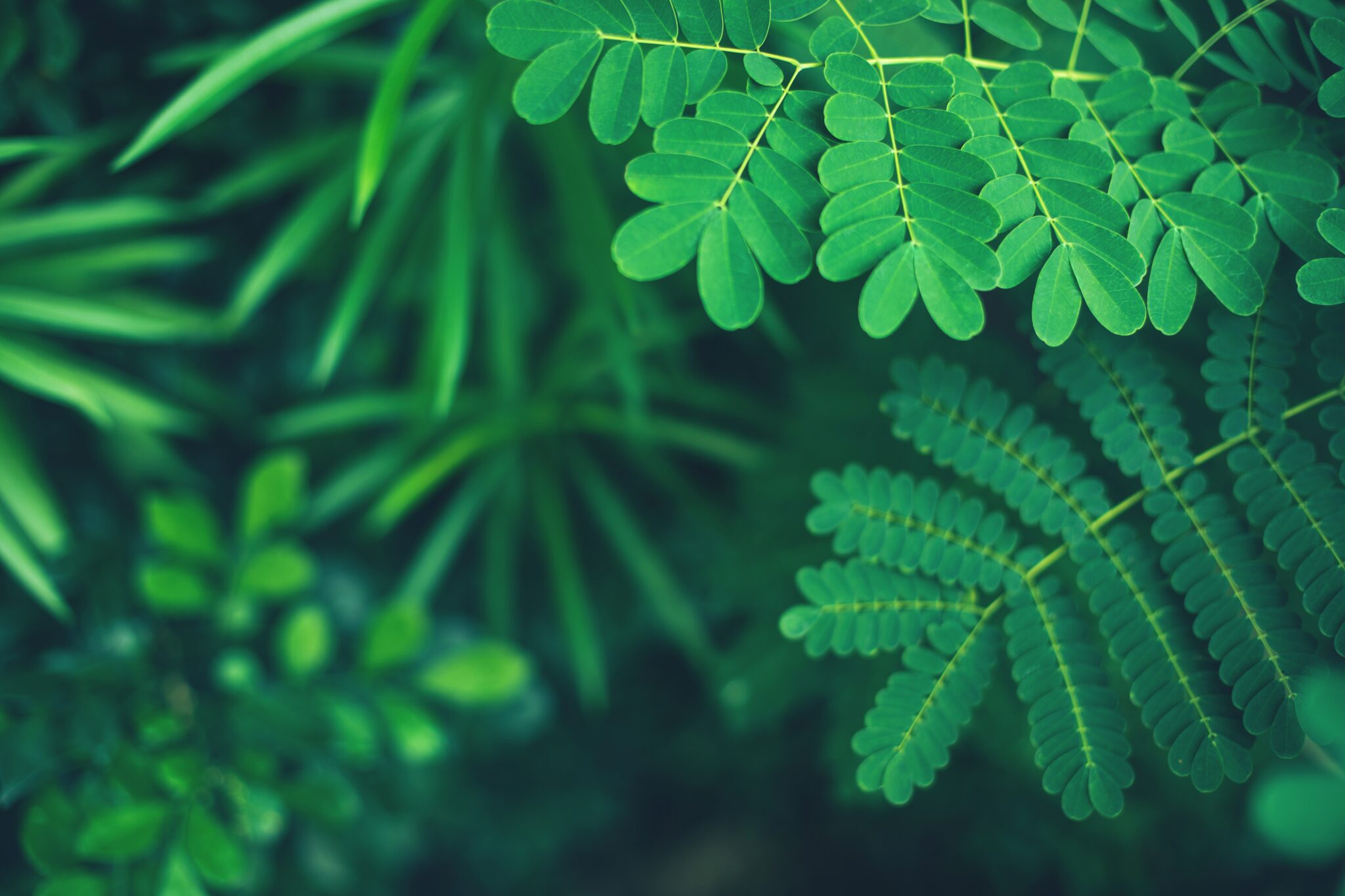 Sfil announces its 2030 targets to reduce financed emissions