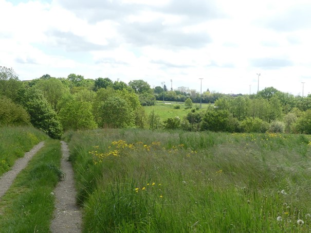À Laval, Sfil soutient l'adaptation au changement climatique
